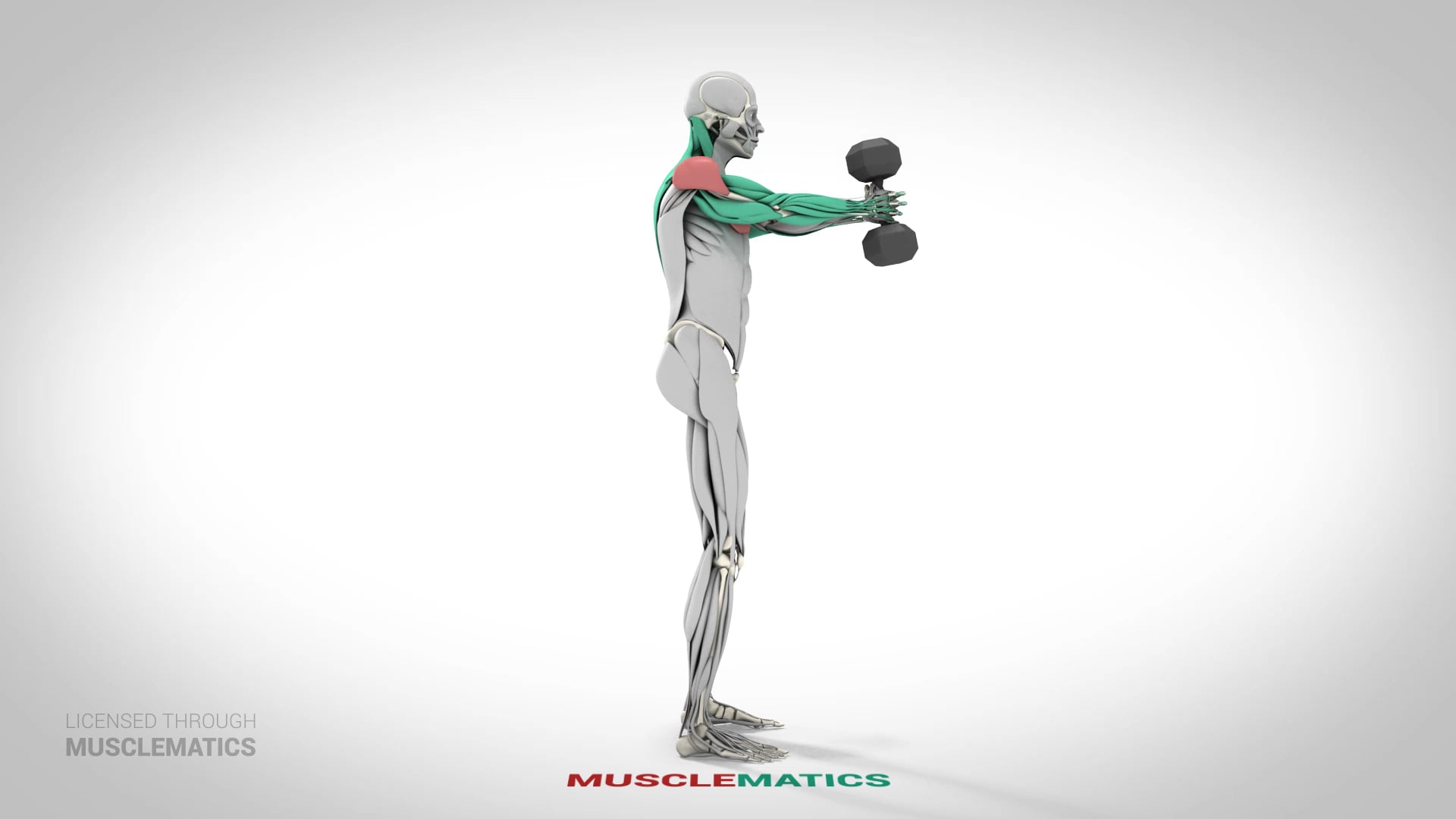 One-Dumbbell Front Raises - (View 2)