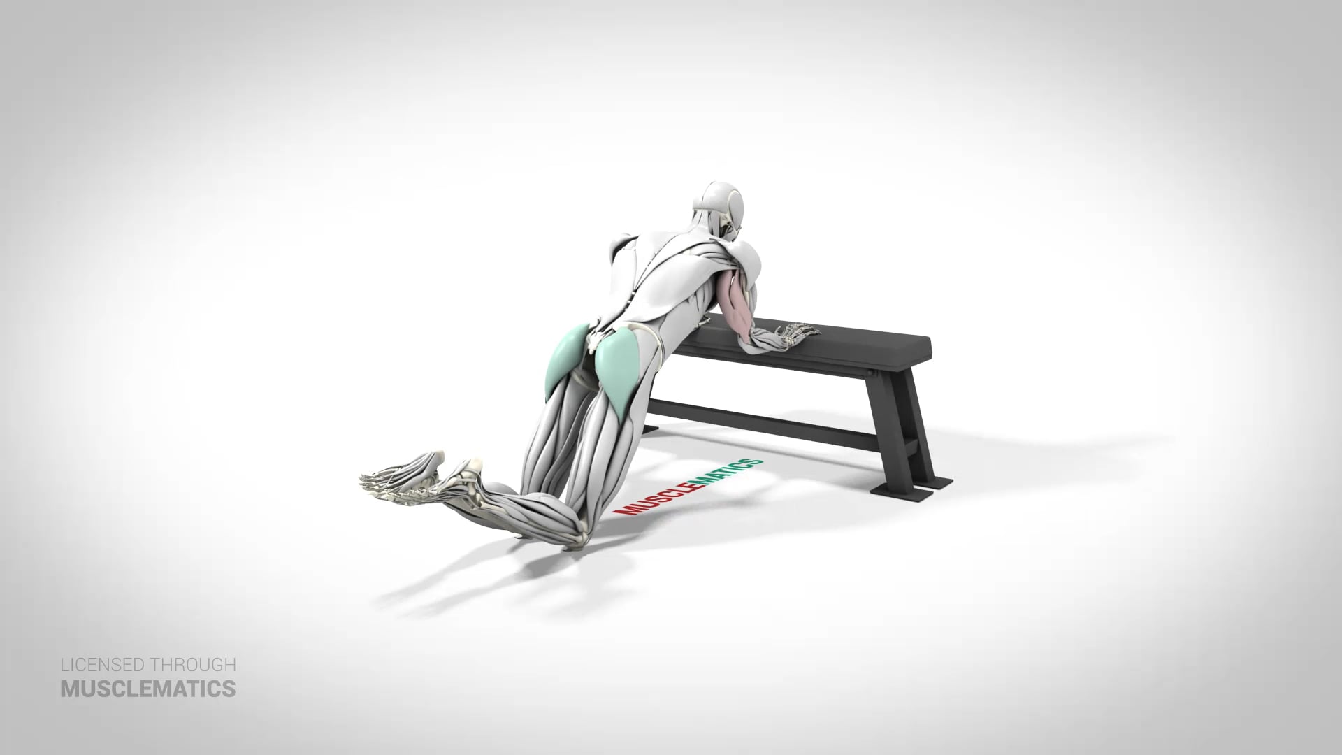 Bodyweight Triceps Extension On Knees - (View 2)