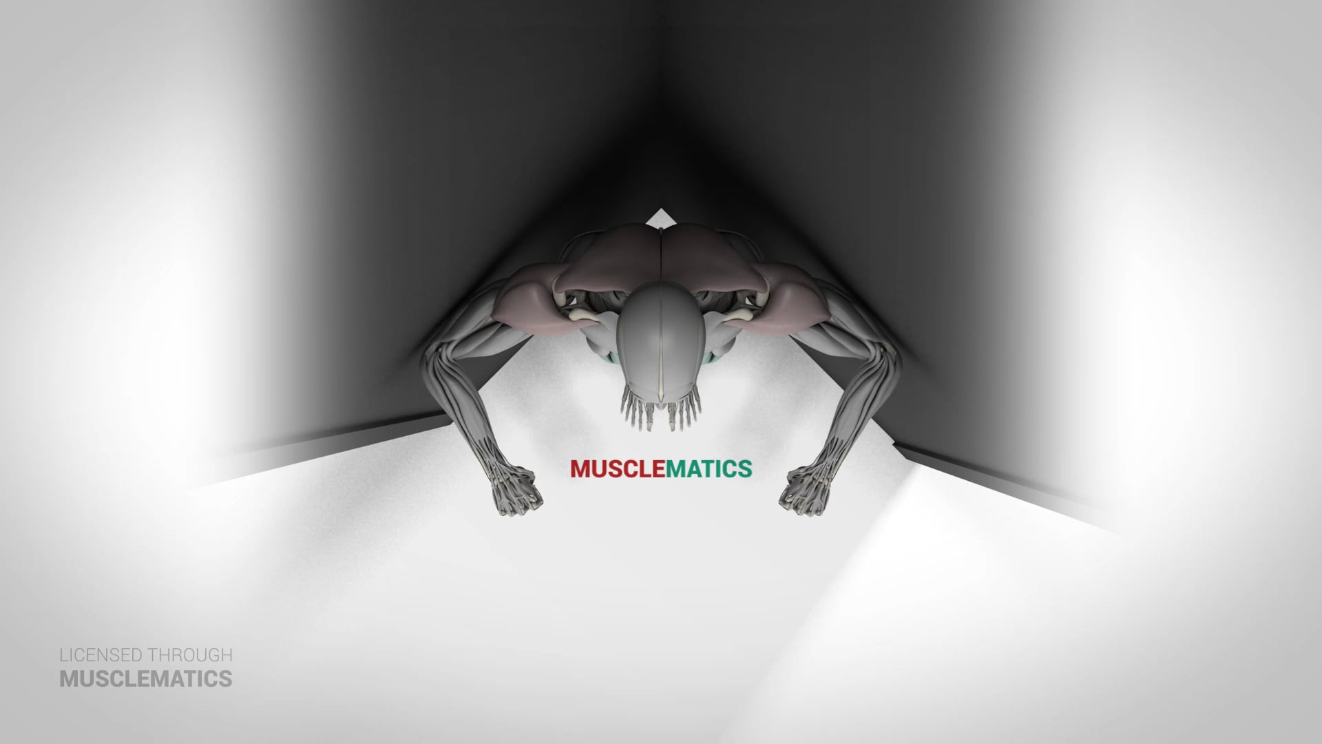 Corner Scapular Shrug - (View 3)