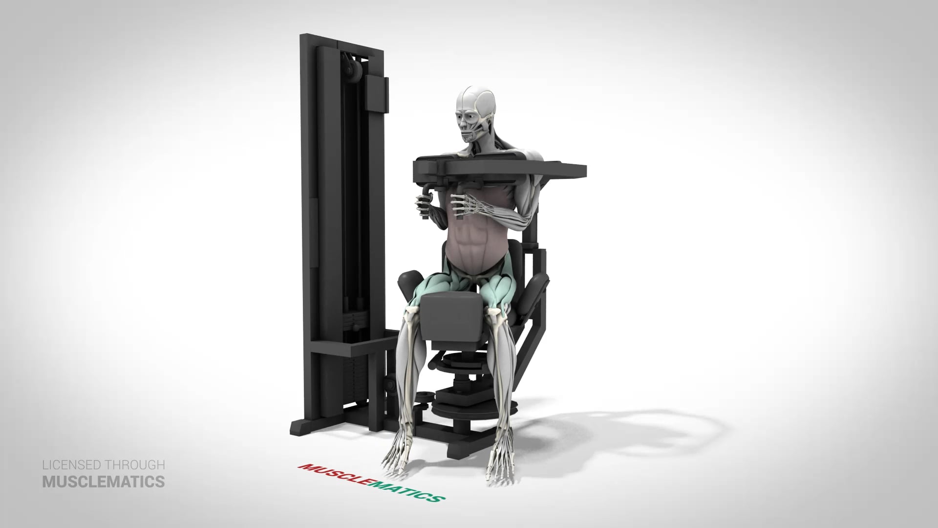 Machine Trunk Rotations - (View 3) - LEFT