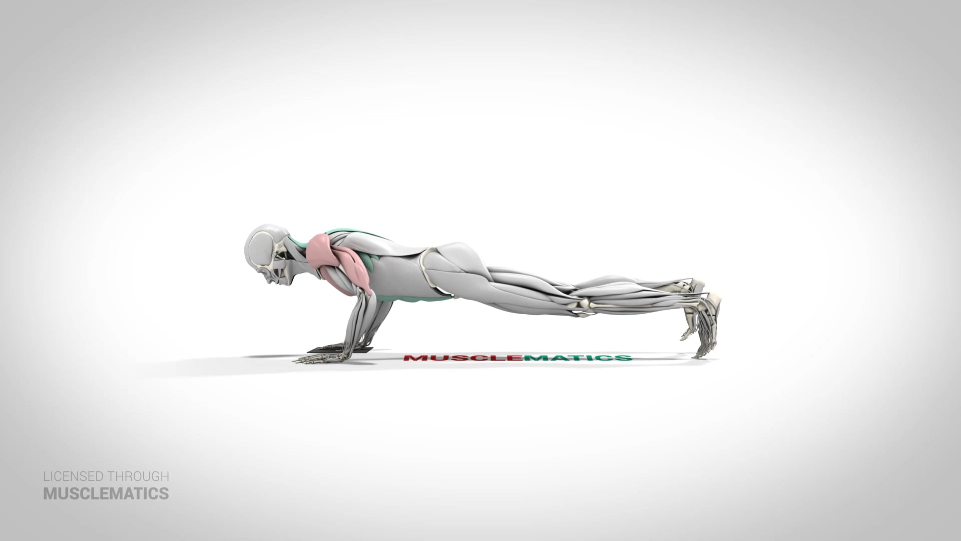 Sliding Side-To-Side Push-Up - (View 2) - LEFT