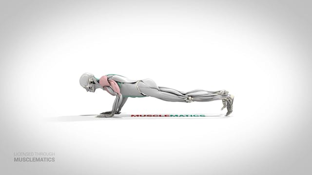 Sliding Side-To-Side Push-Up - (View ...