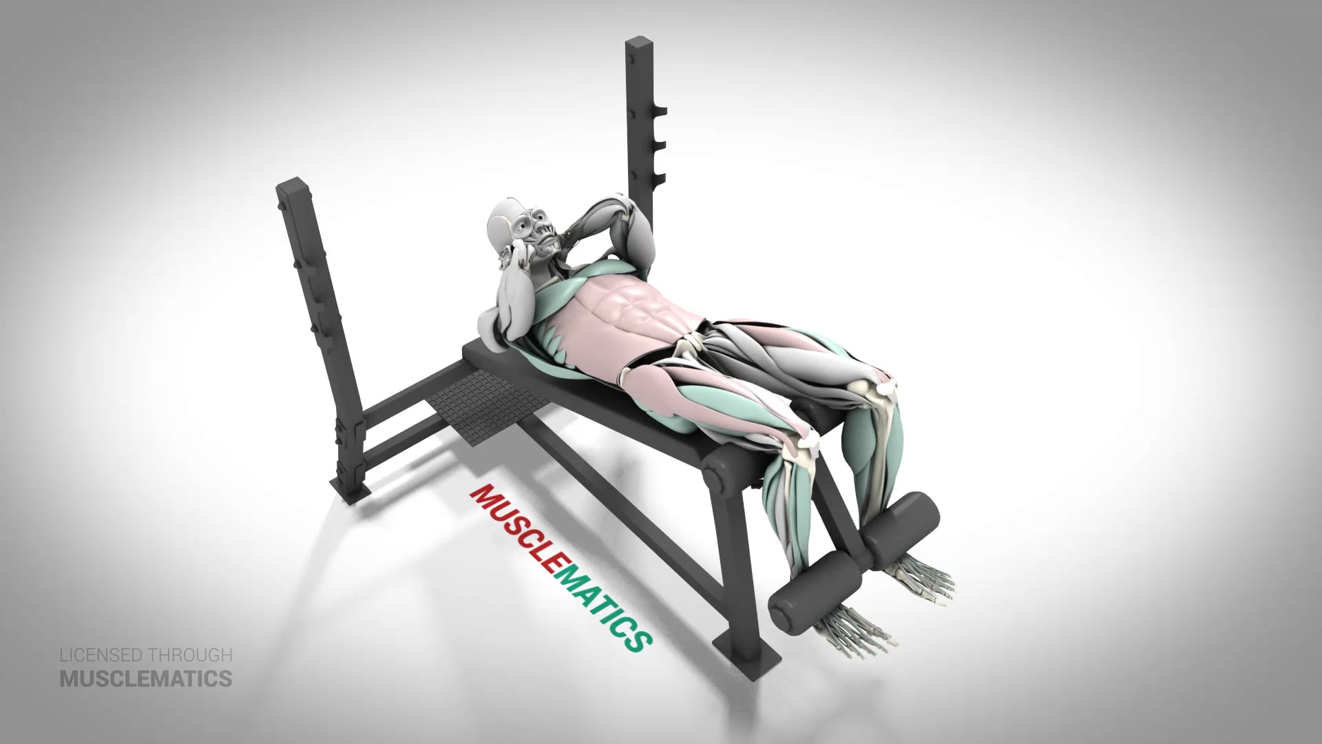 Incline Bench Sit-Ups - (All Views)