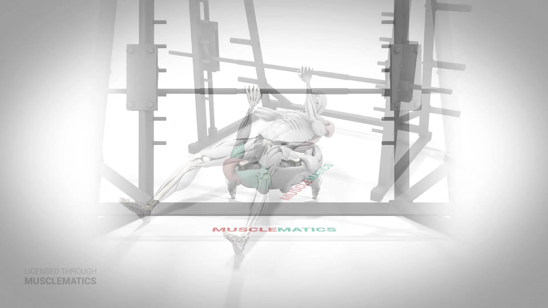 One-Arm Inverted Row - (All Views) - LEFT