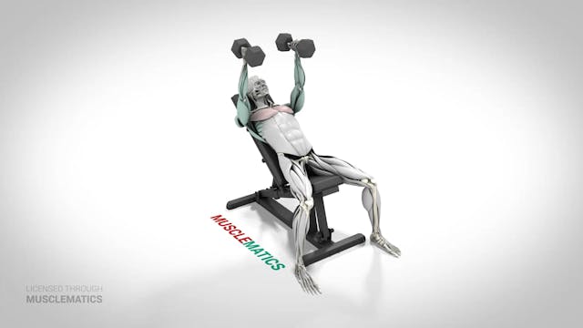 Incline Dumbbell Flys - (View 1)