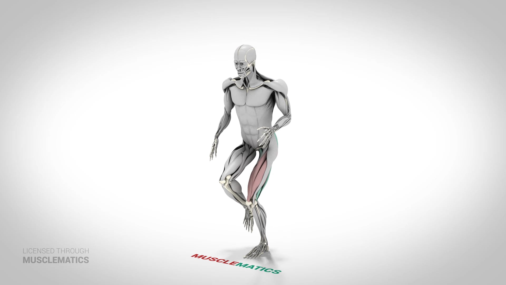 Skater Squat With Knee Raise - (View 2) - LEFT