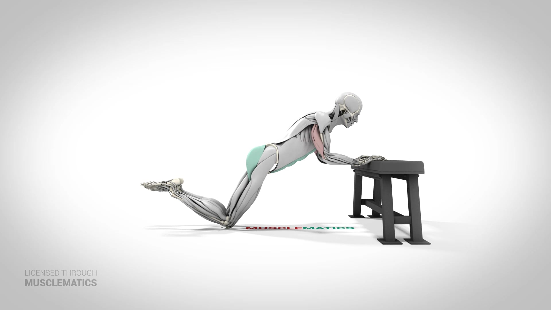 Bodyweight Triceps Extension On Knees - (View 1)