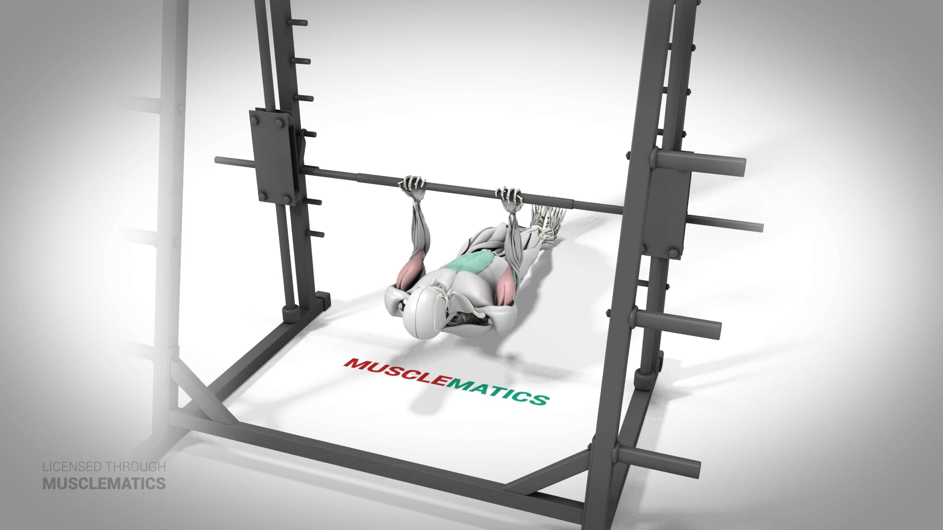 Bodyweight Inverted Curl With Straight Legs - (All Views)