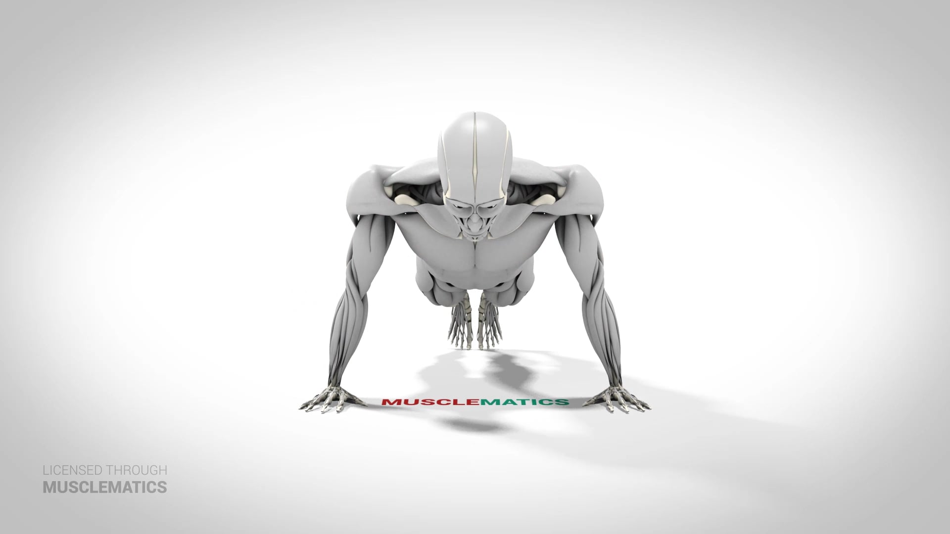 Side-To-Side Push-Up - (View 3) - LEFT