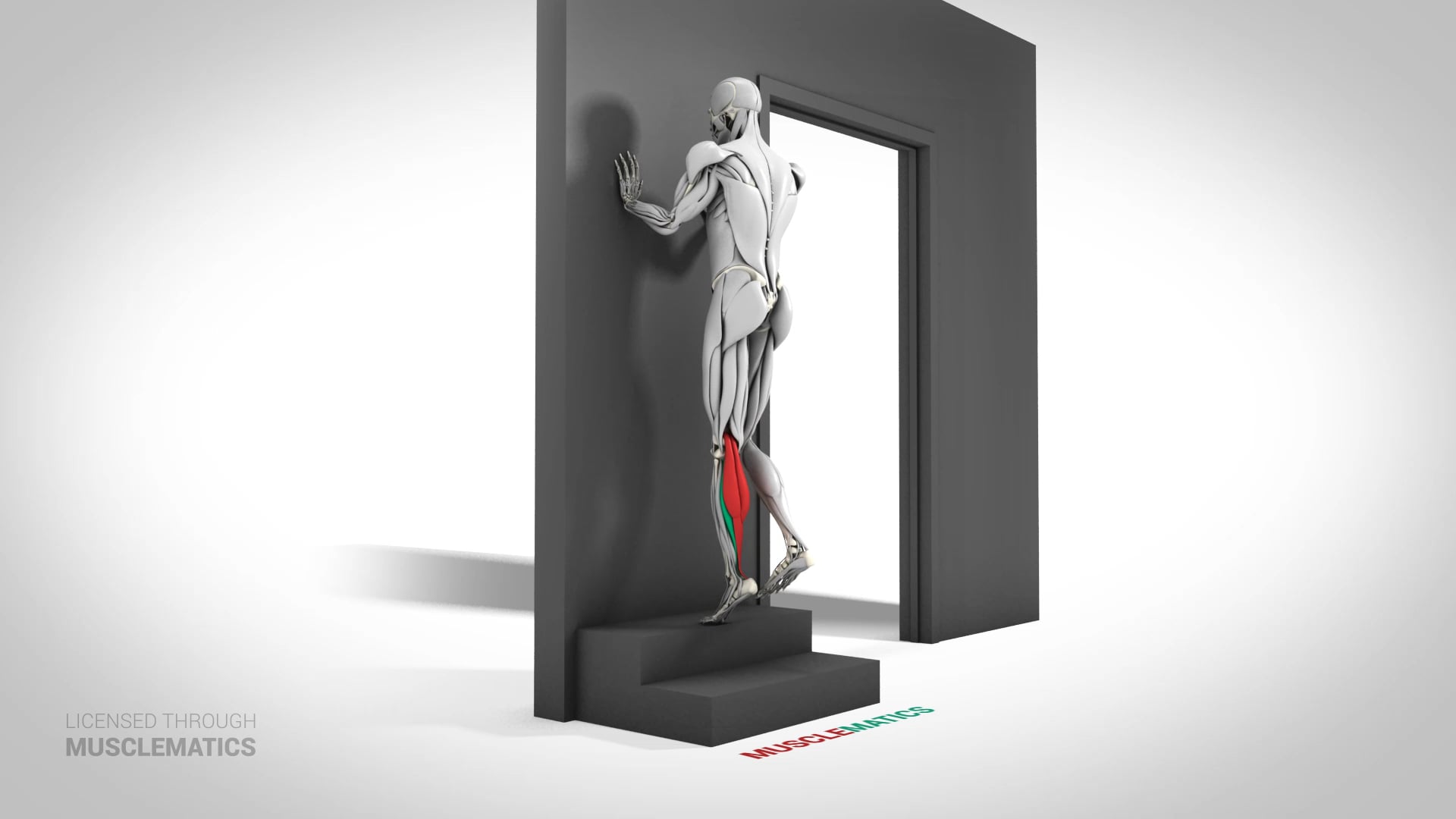 Single-Leg Elevated Calf Raise - (View 3) - LEFT