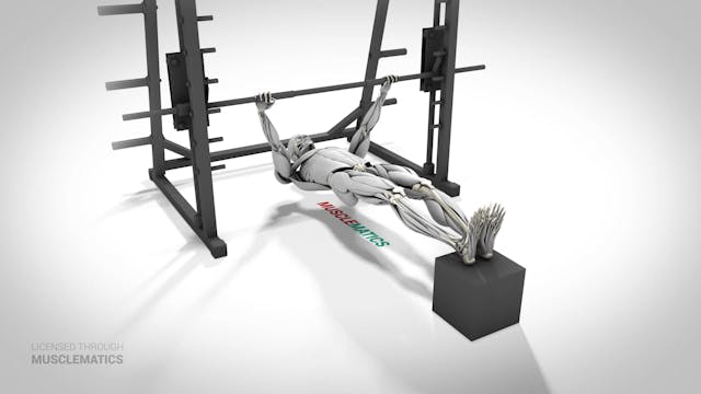 Decline Inverted Row - (View 3)