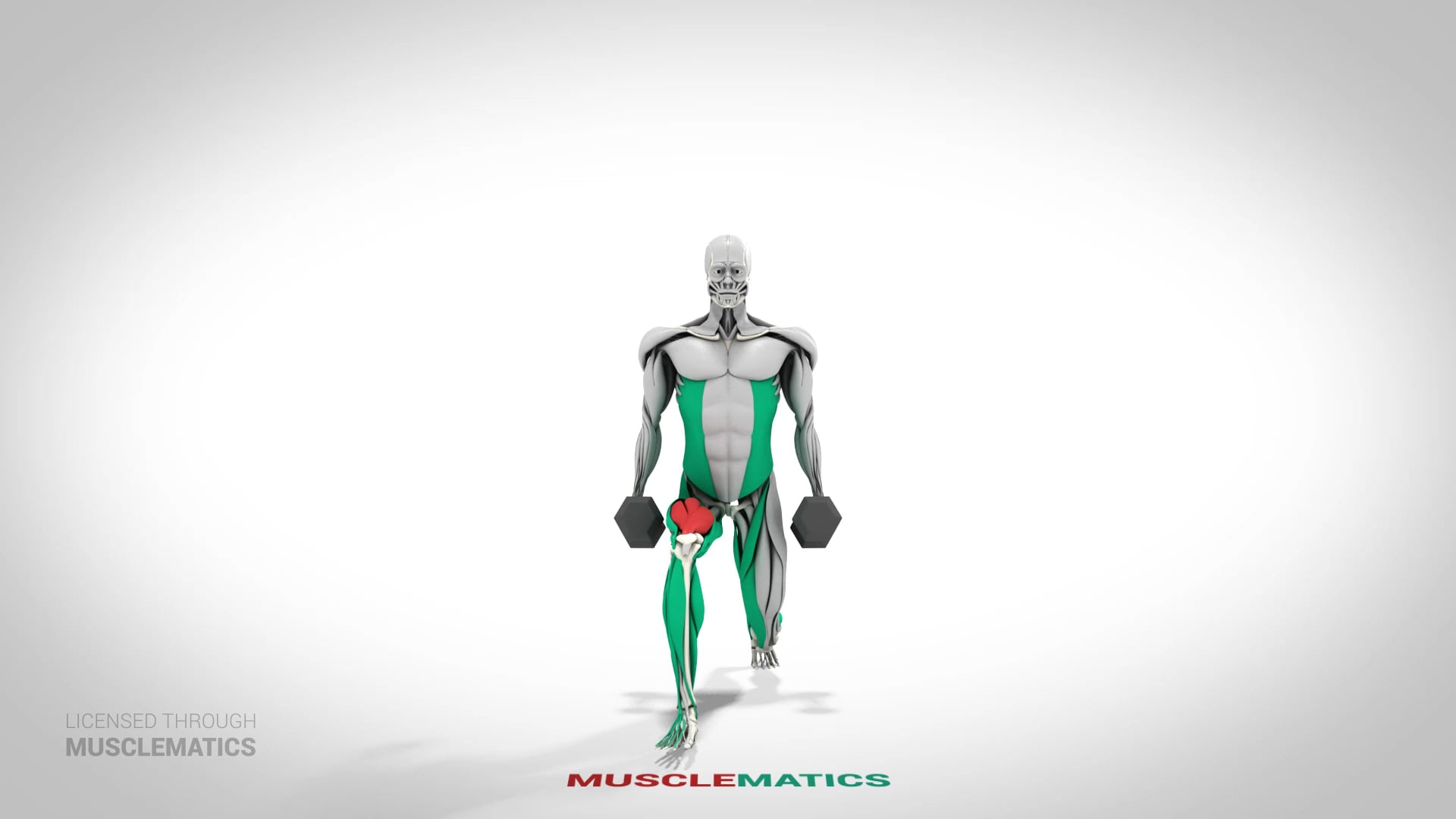 Dumbbell Lunges - (View 1)