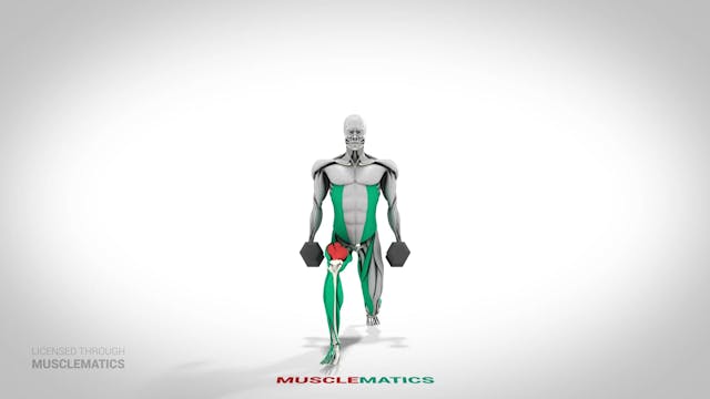 Dumbbell Lunges - (View 1)