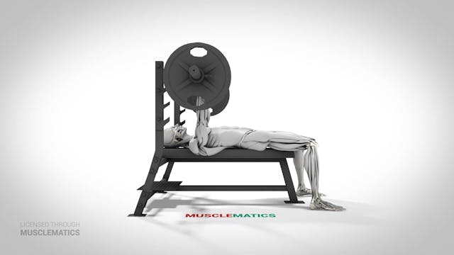 Bench Presses - (View 2)