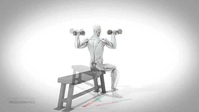 Seated Dumbbell Presses - (All Views)