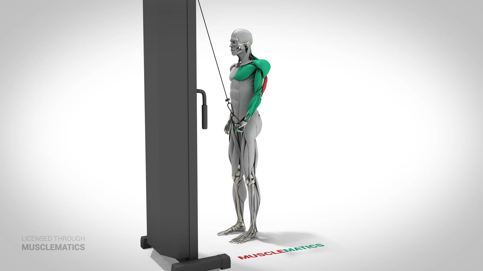 One-Arm Reverse Push-Downs - (View 2) - LEFT