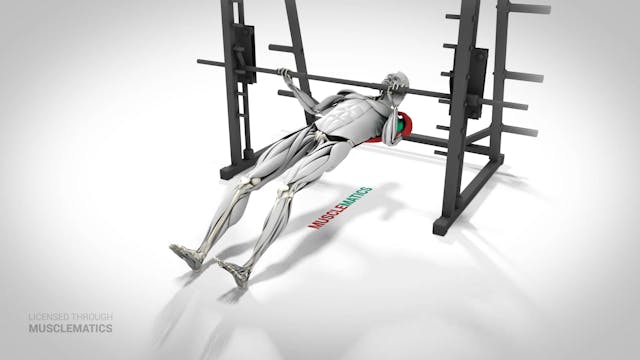 Side-To-Side Inverted Row - (View 3) ...