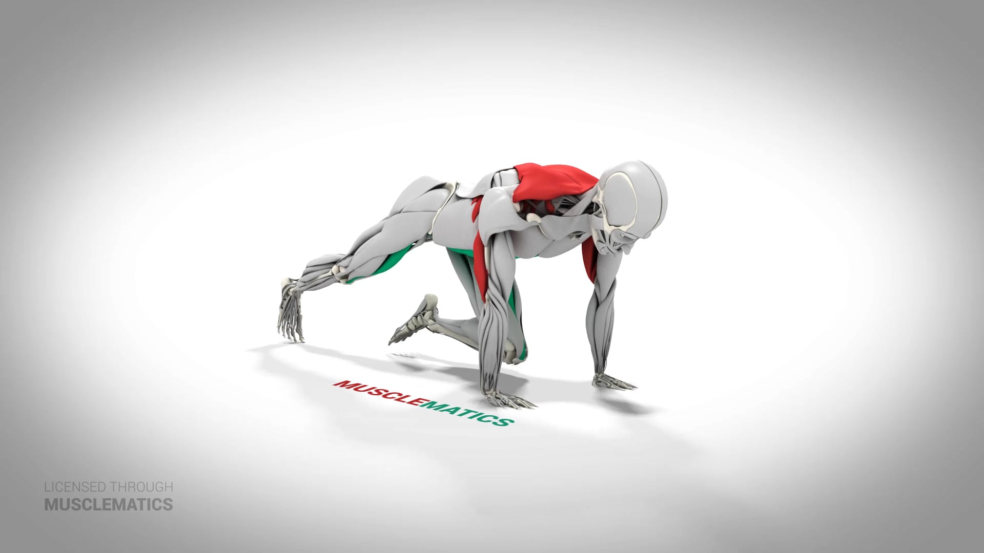 Mountain Climbers - (All Views)