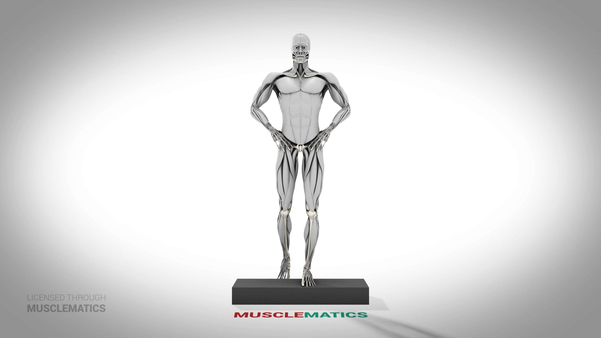 Step-Down Reverse Lunge - (All Views) - LEFT