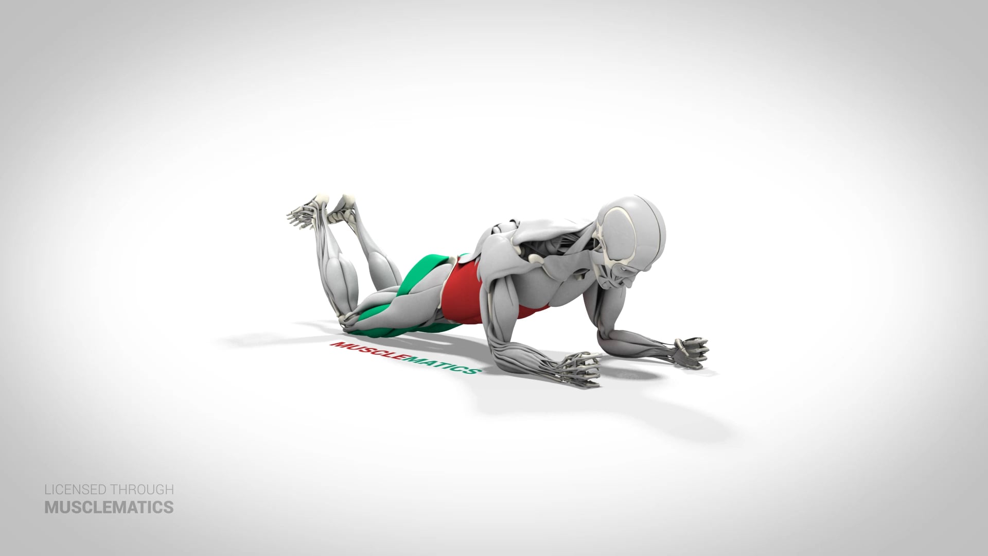 Plank On Knees - (View 3)