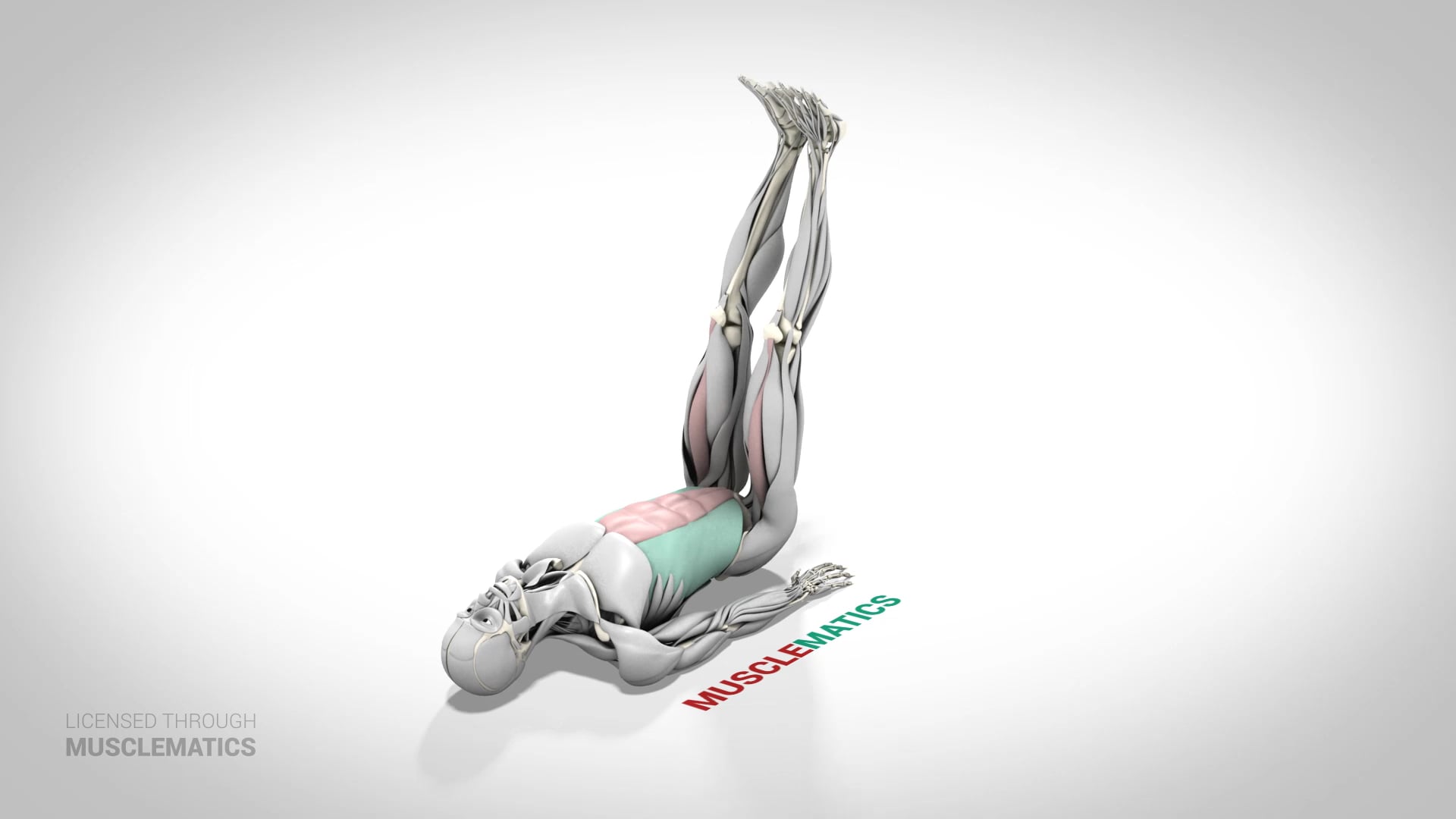 Lying Straight-Leg Raise - (View 2)