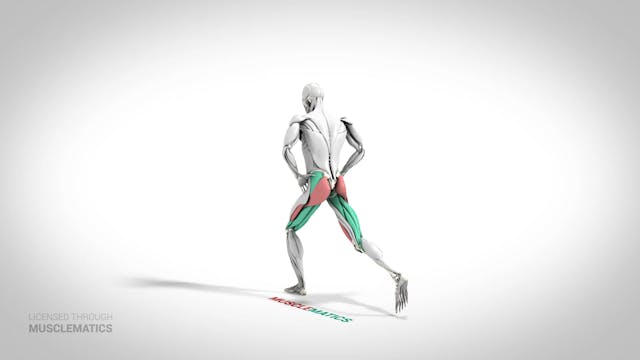 Reverse Lunge - (View 3) - LEFT