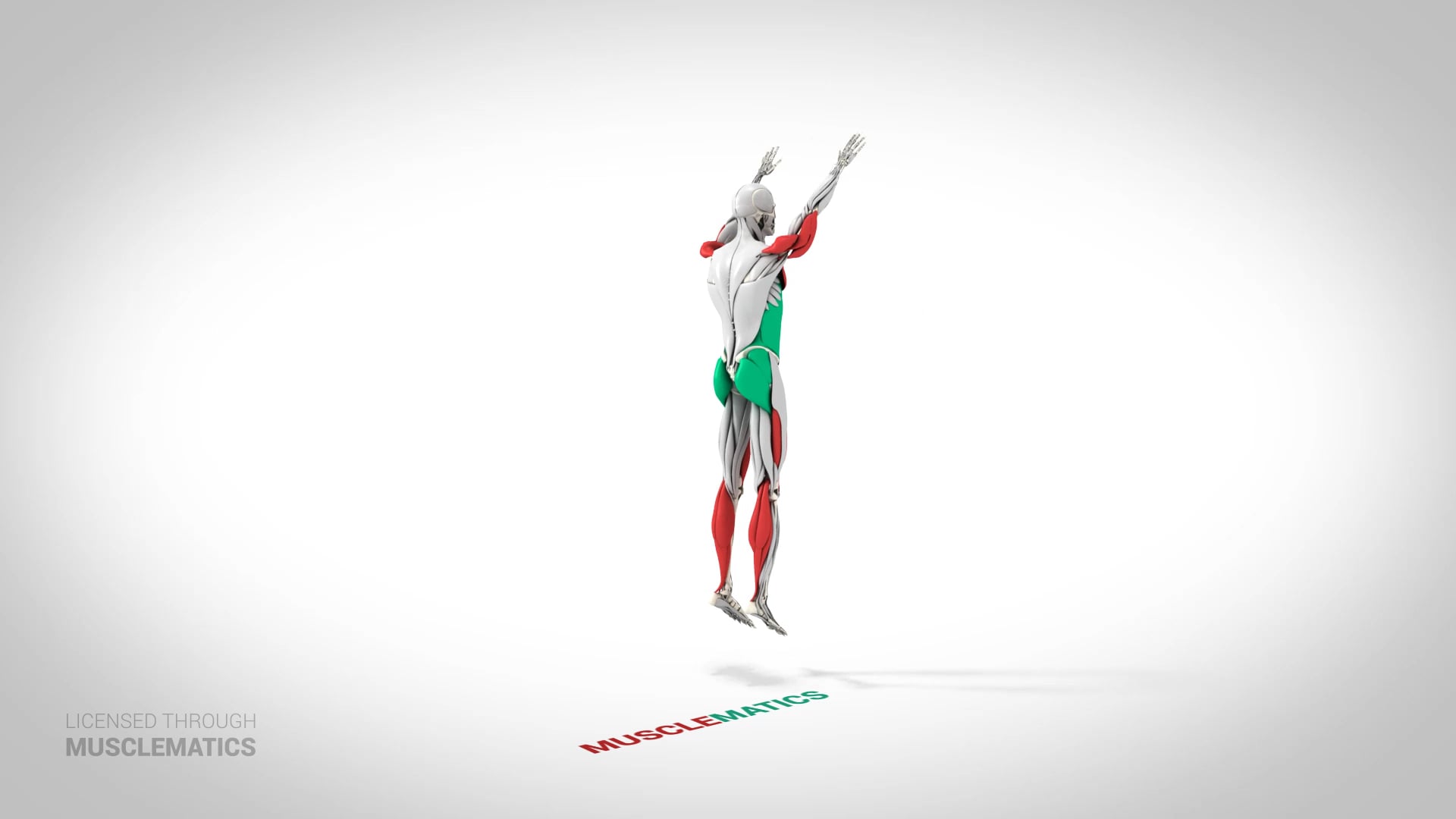 Advanced Burpees - (View 3)