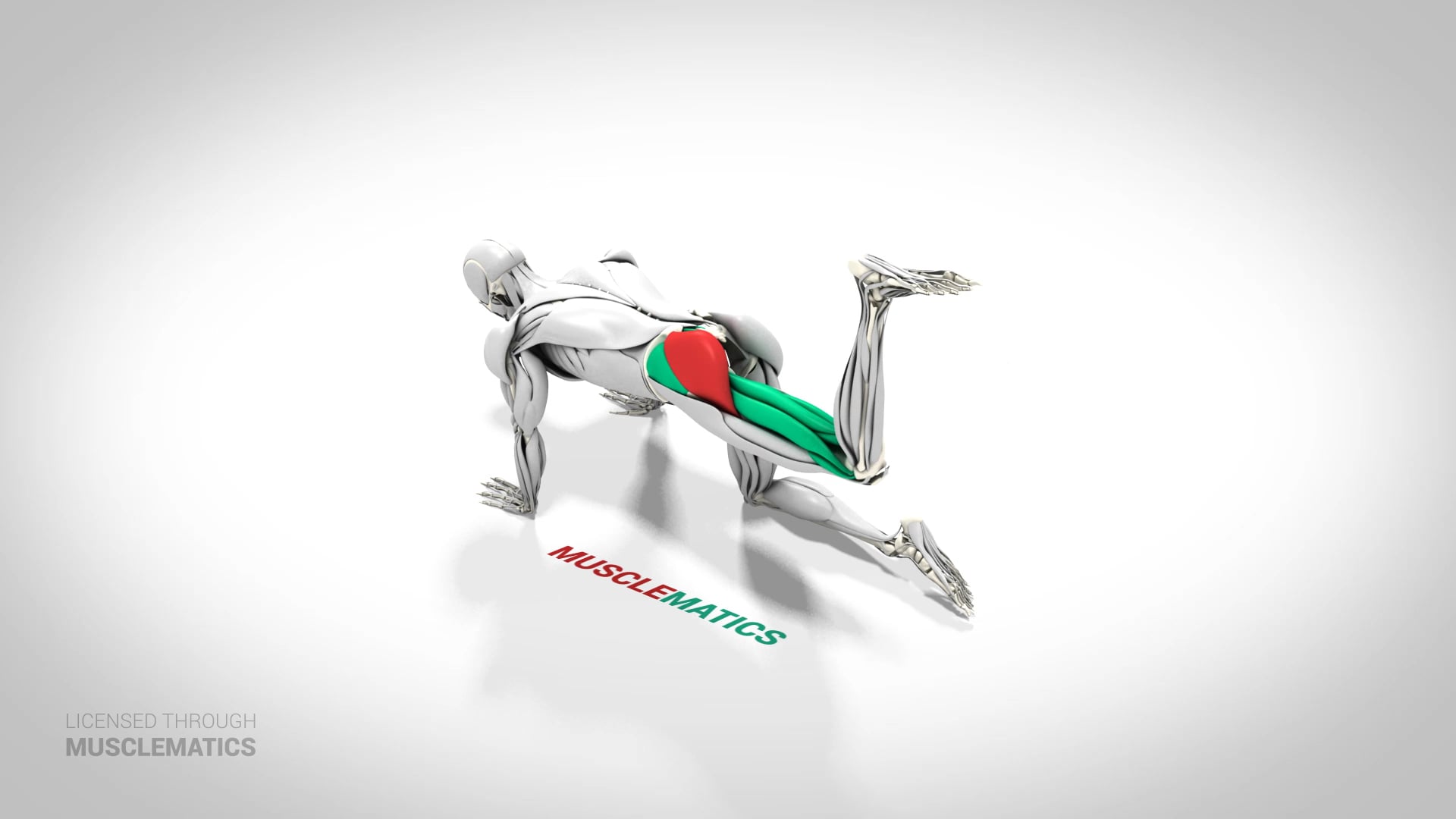 Kneeling Bent-Leg Donkey Kick - (View 2) - LEFT