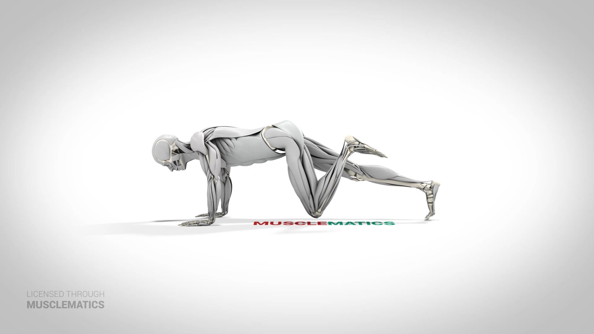 Push-Up With Hip Extension - (View 2) - LEFT