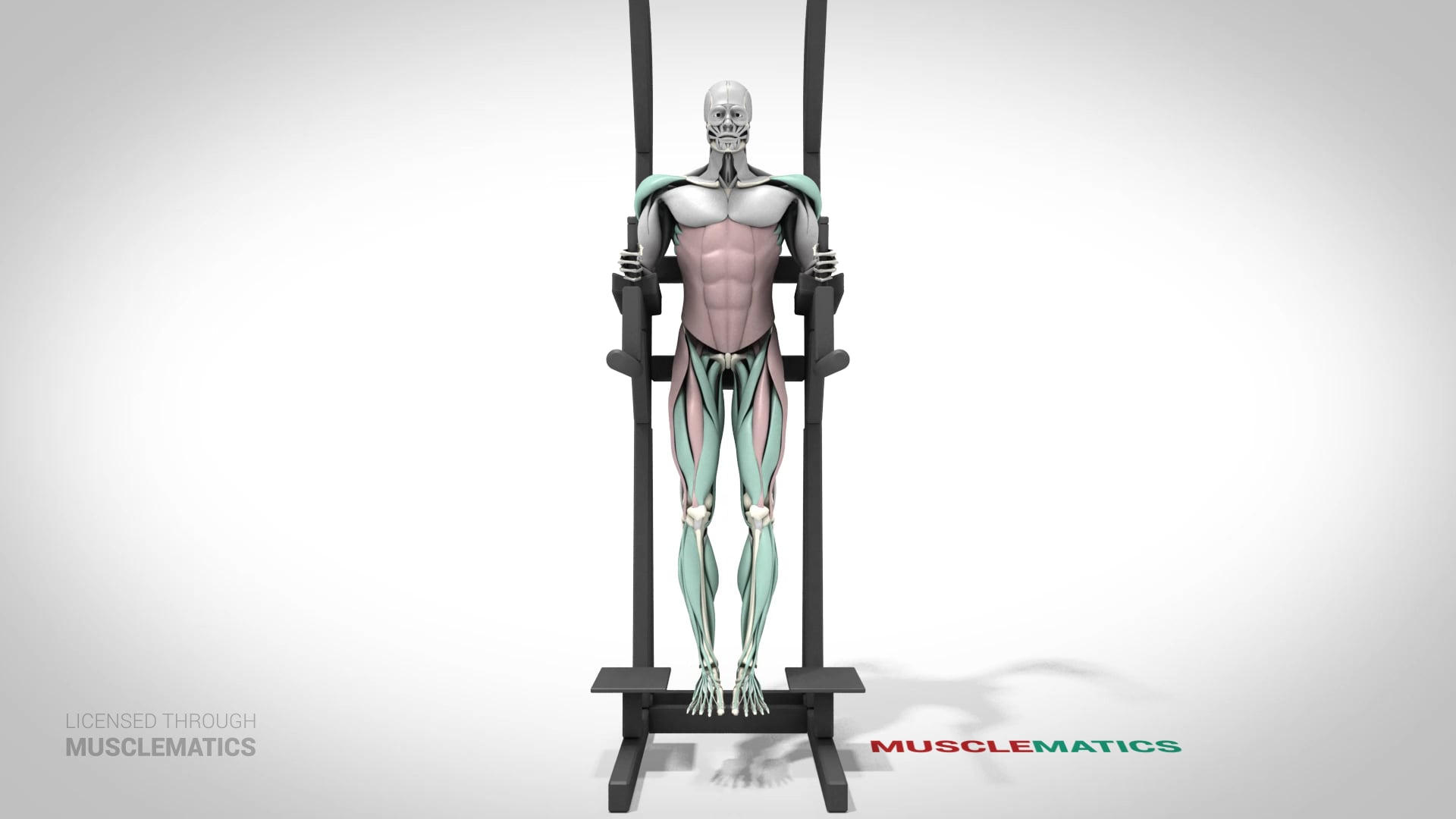 Leg Raises (Straight Leg) - (View 3)