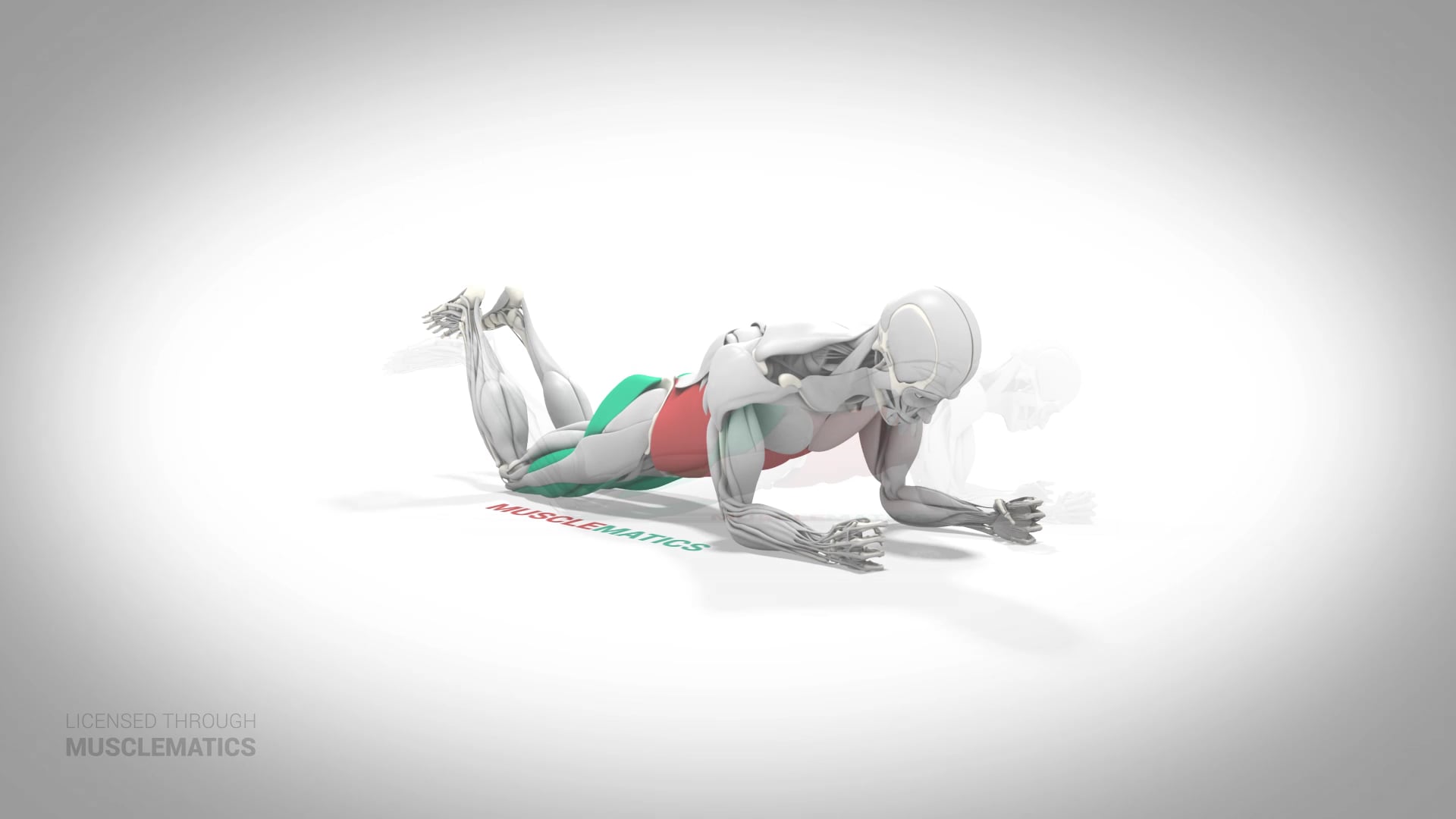 Plank On Knees - (All Views)