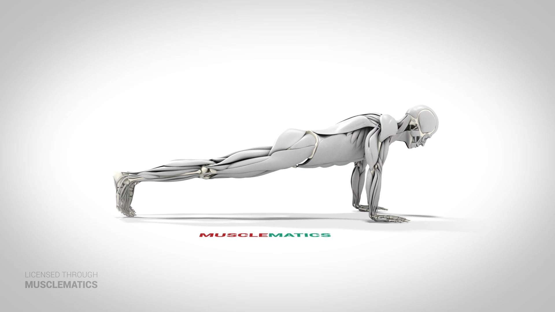 Push-Ups - (View 2)