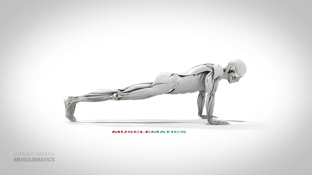 Push-Ups - (View 2)