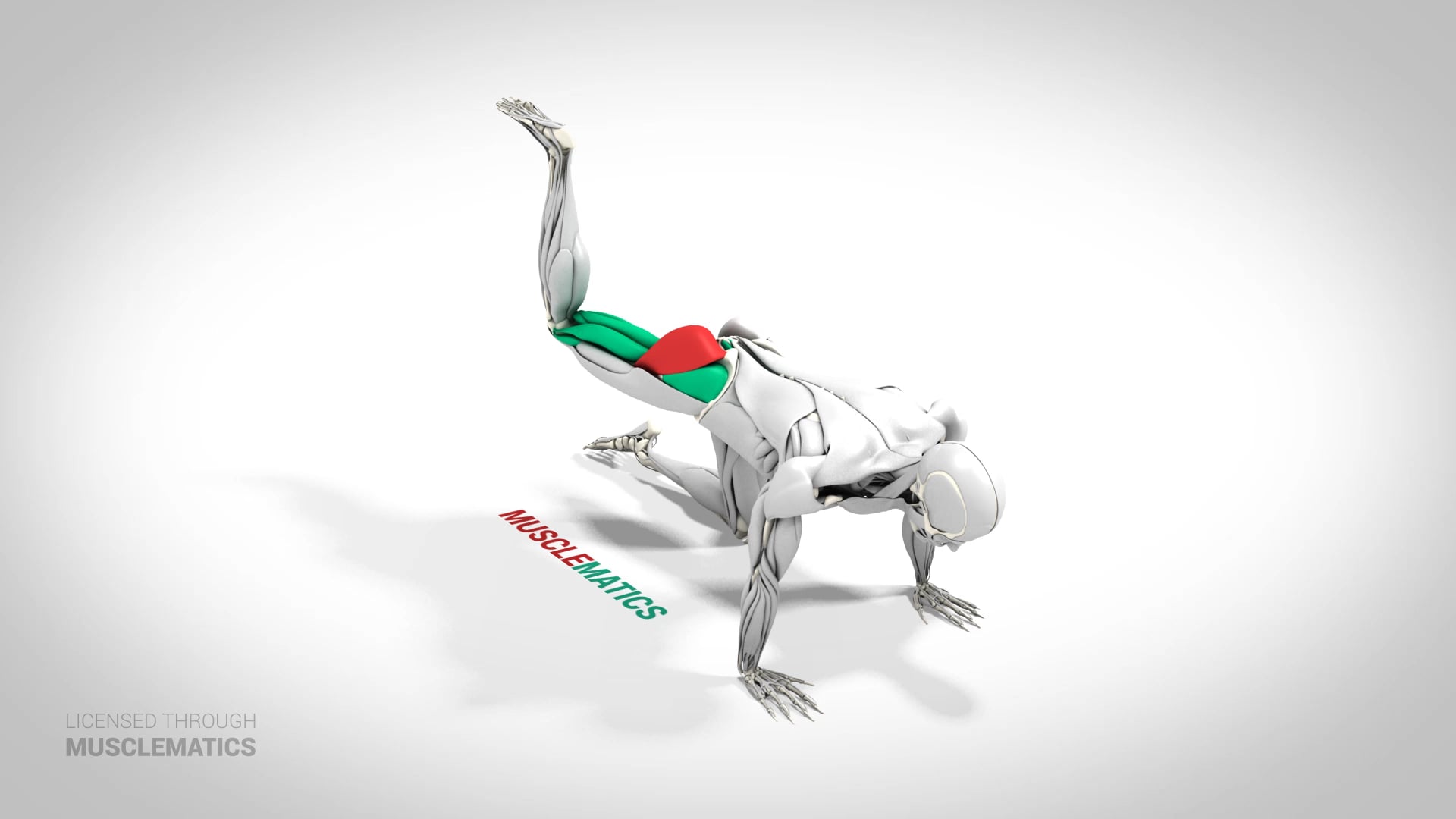 Kneeling Bent-Leg Donkey Kick - (View 3)