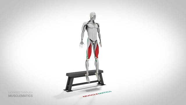 Jump Box Squat - (View 2)