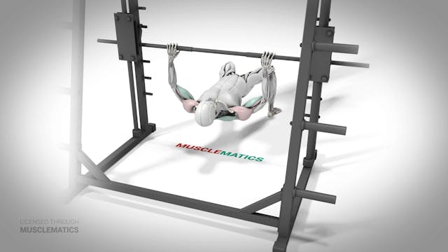 Inverted Row With Bent Knees - (All V...