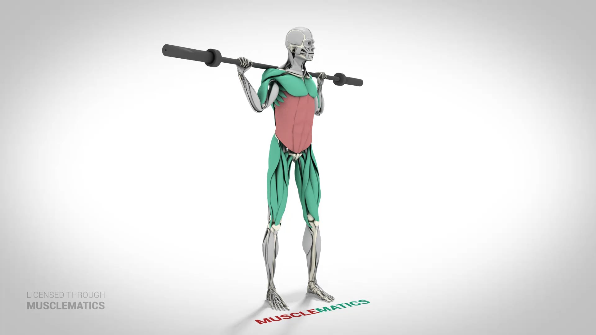 Broomstick Twists - (View 2)