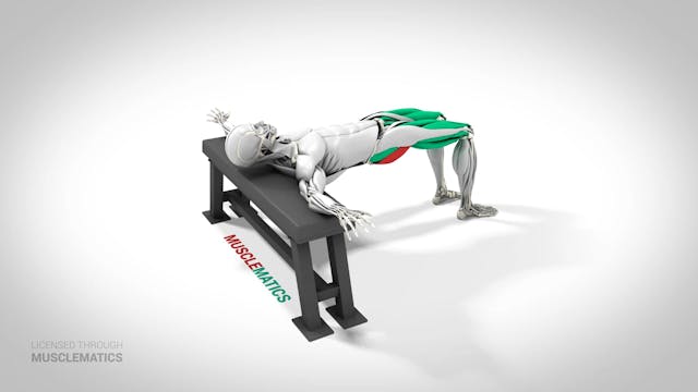 Incline Hip Thrust - (View 2)