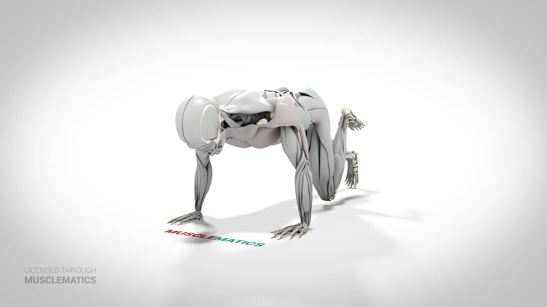 Push-Up With Hip Extension - (View 1) - LEFT