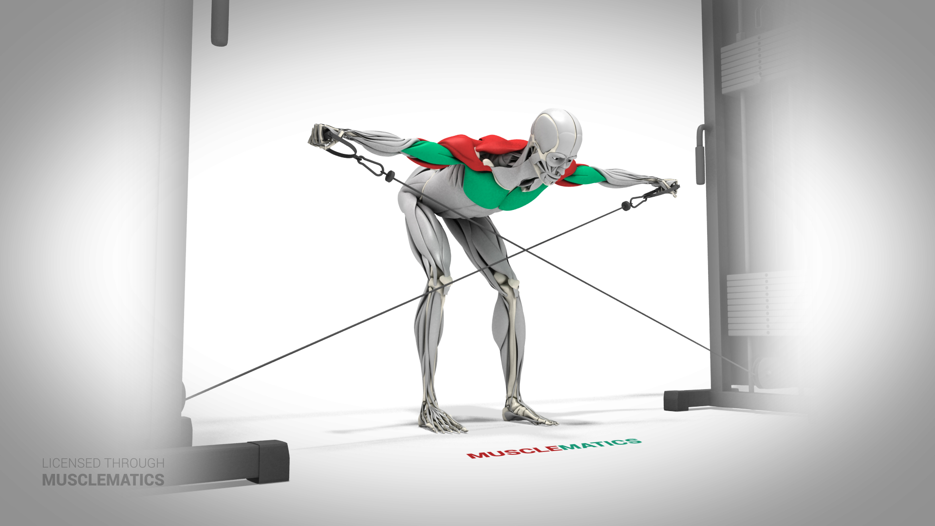 Low-Pulley Bent-Over Lateral Raises - (All Views)
