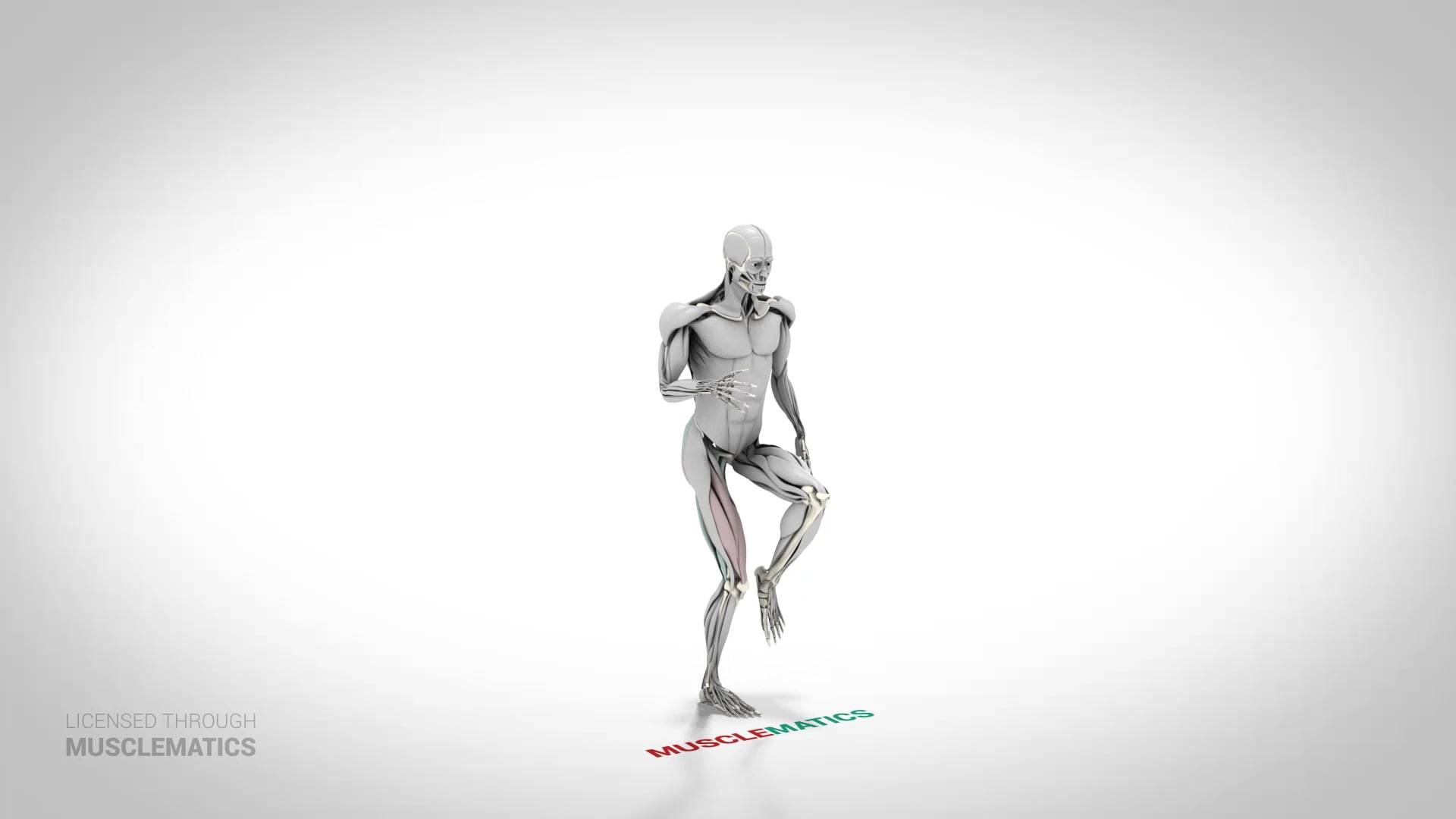 Jumping Skater Squat - (View 2)