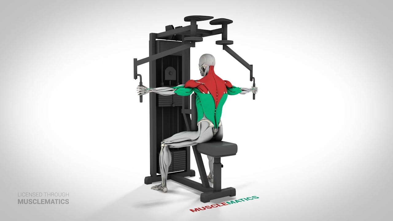 Pec Deck RearDelt Laterals (View 3) Muscle Group UpperBody