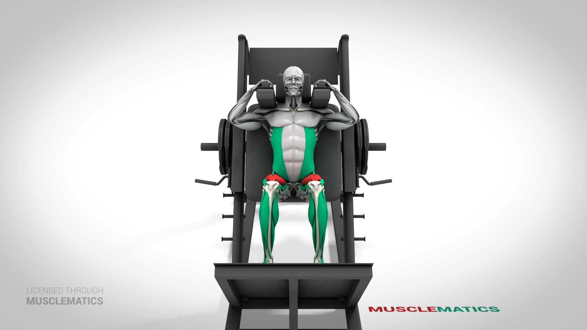 Half Squat Machine - (View 1)
