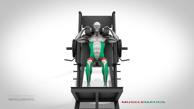 Half Squat Machine - (View 1)