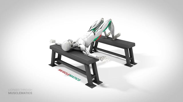 Elevated Hip Thrust - (View 2)