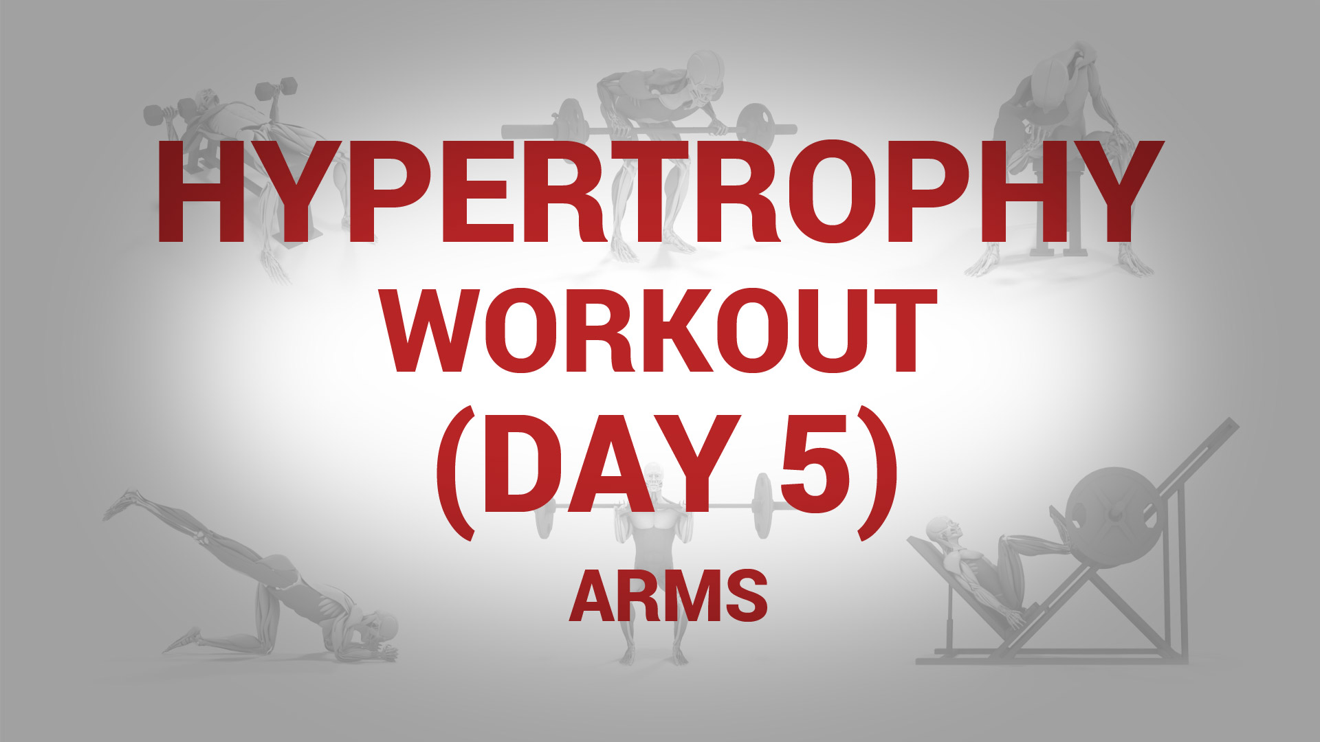Hypertrophy Workout (Day 5) - ARMS