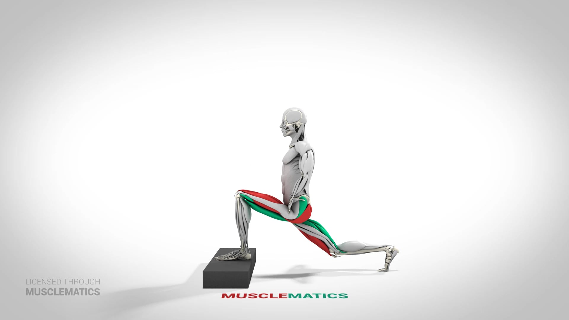 Step-Down Reverse Lunge - (View 2) - LEFT