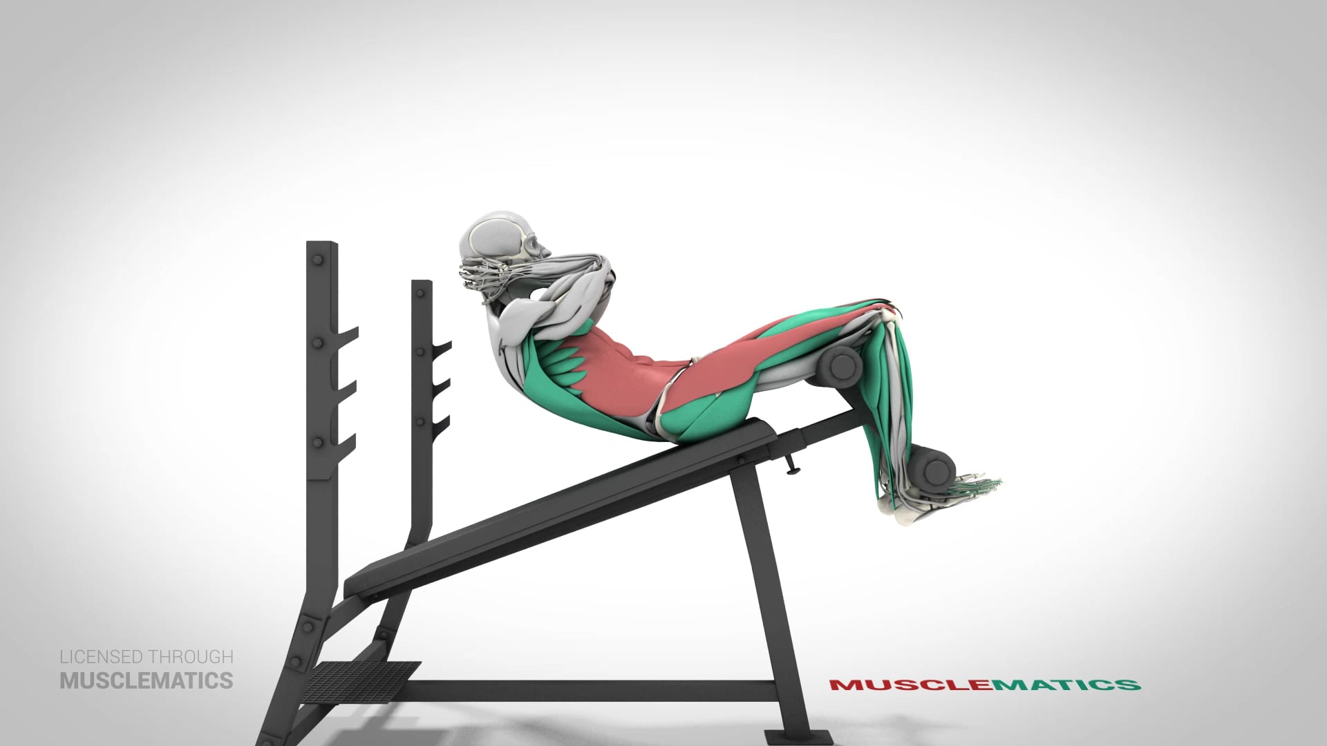 Incline Bench Sit-Ups - (View 2)
