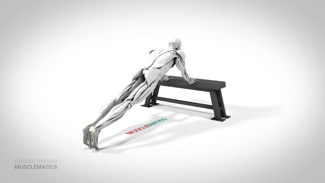 Bodyweight Triceps Extension - (View 2)