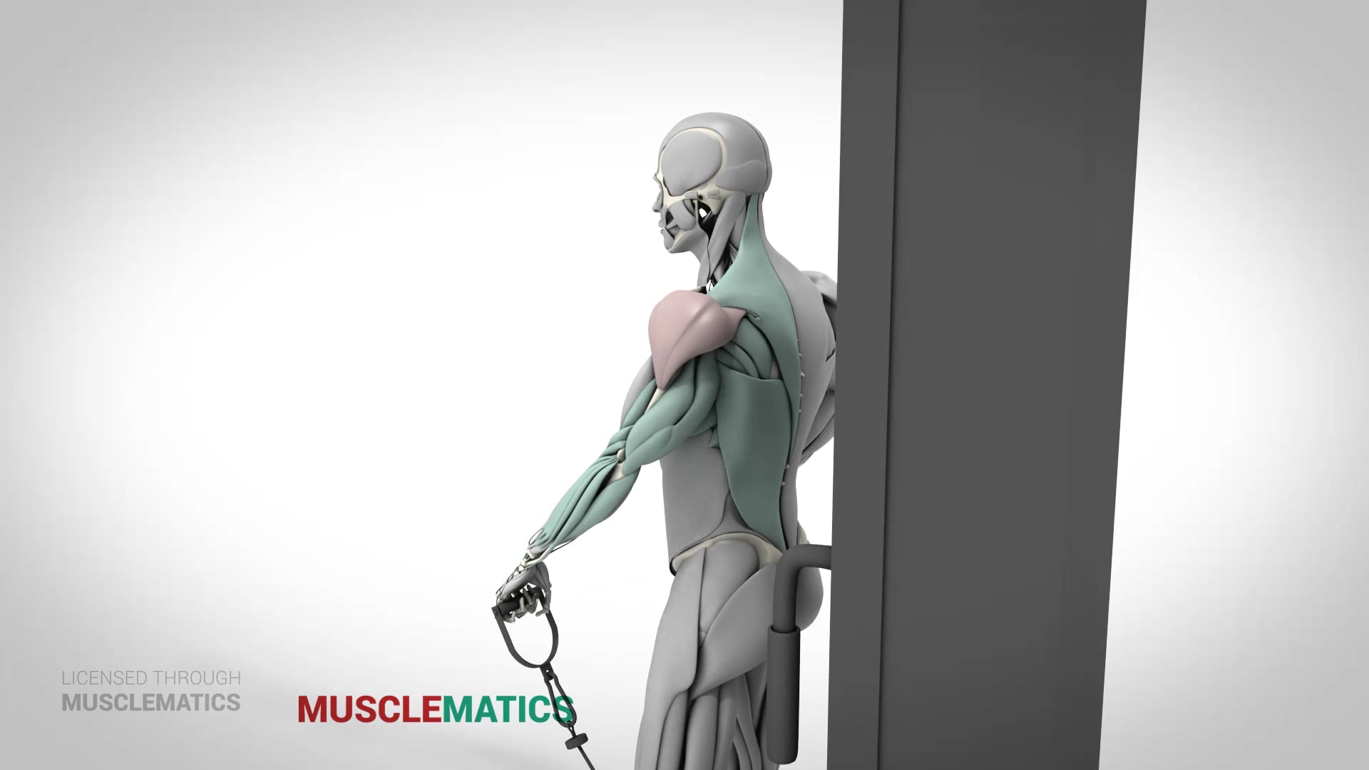 Low-Pulley Front Raises - (View 3) - LEFT